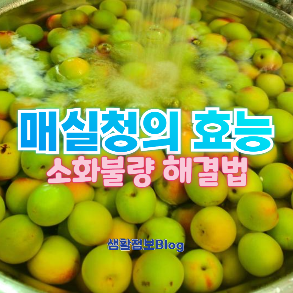 소화불량에 효과적인 매실청의 효능