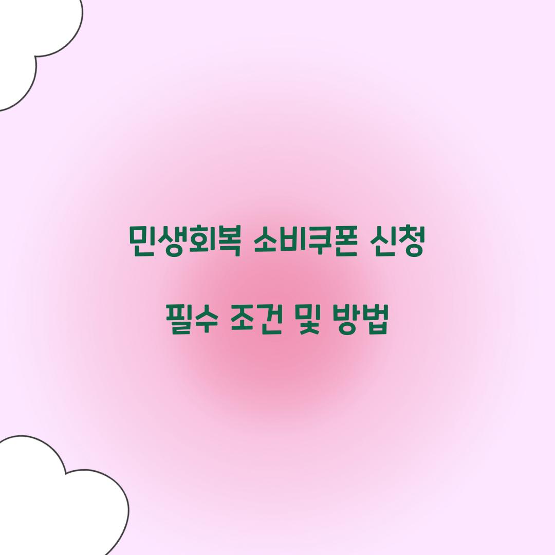 민생회복 소비쿠폰