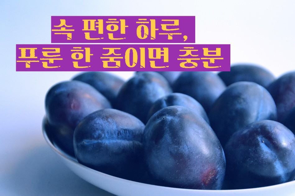 푸룬 건자두 효능 부작용