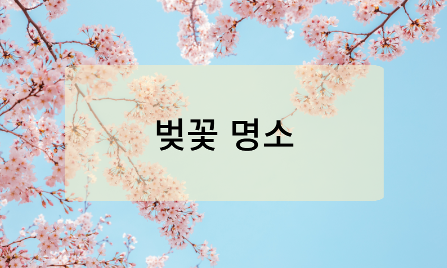 우리나라 벚꽃 명소 BEST 10