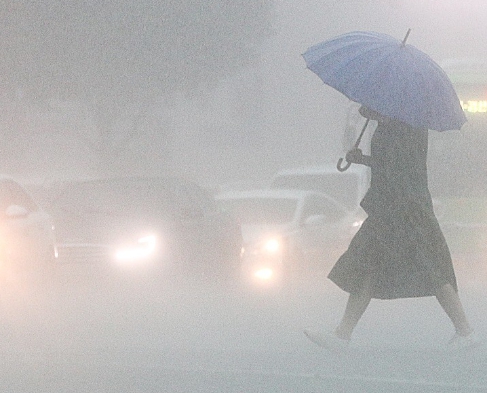 2024년 장마와 2025년 장마 비교