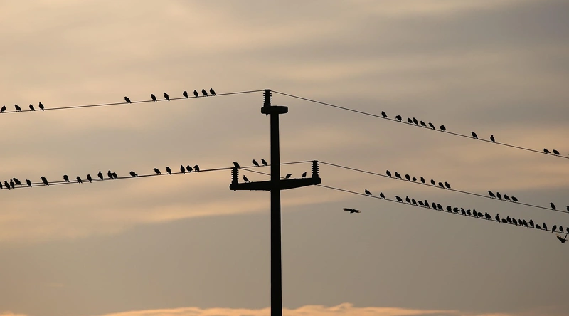 차단기의 역할과 중요성
