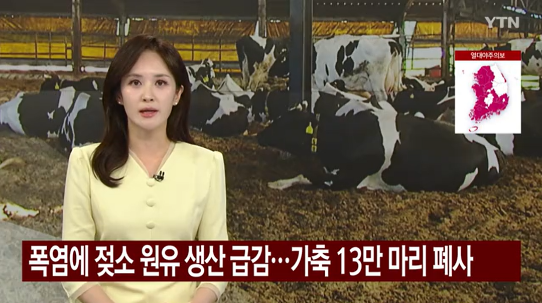폭염 농가 피해