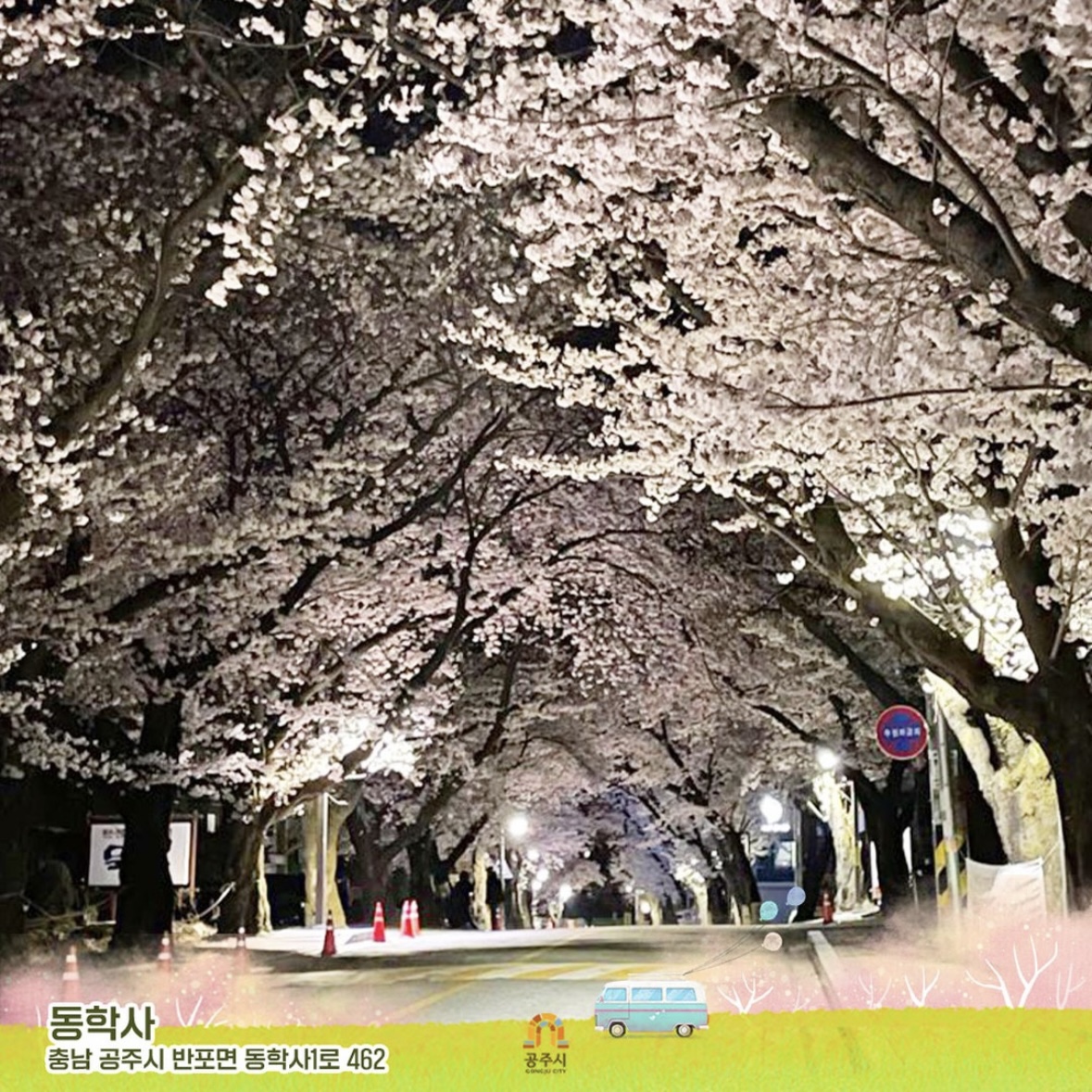 동학사 벚꽃 축제 일정