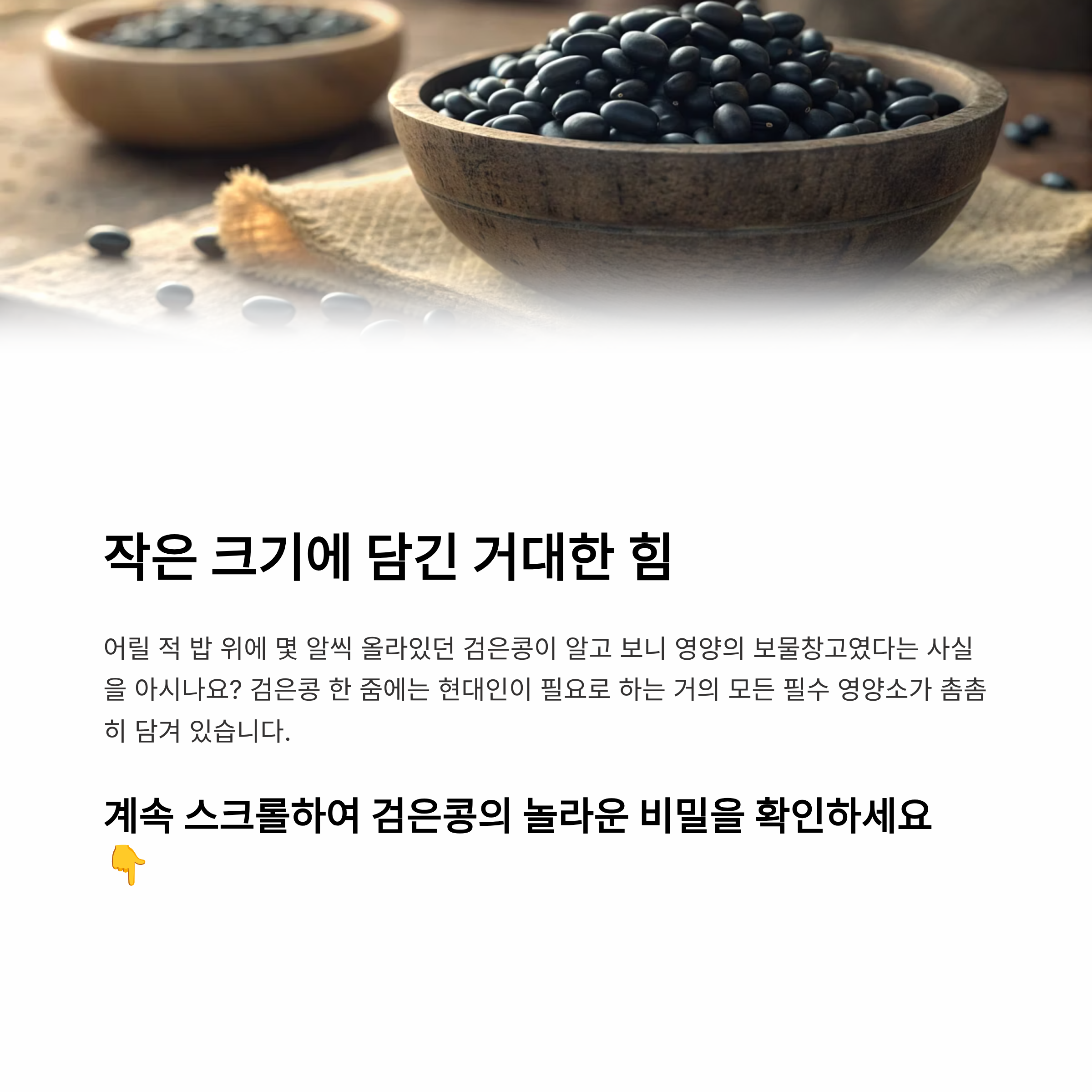 검은콩 영양성분 2025 완벽 가이드 – 한 줌 속 숨겨진 7가지 슈퍼 성분 총정리!