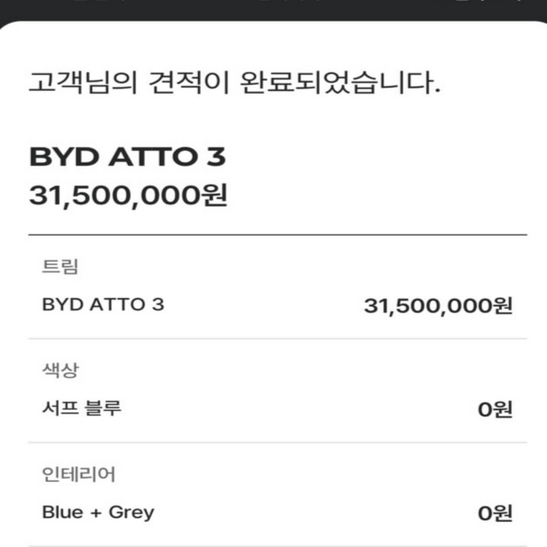 BYD 전기차 패밀리카