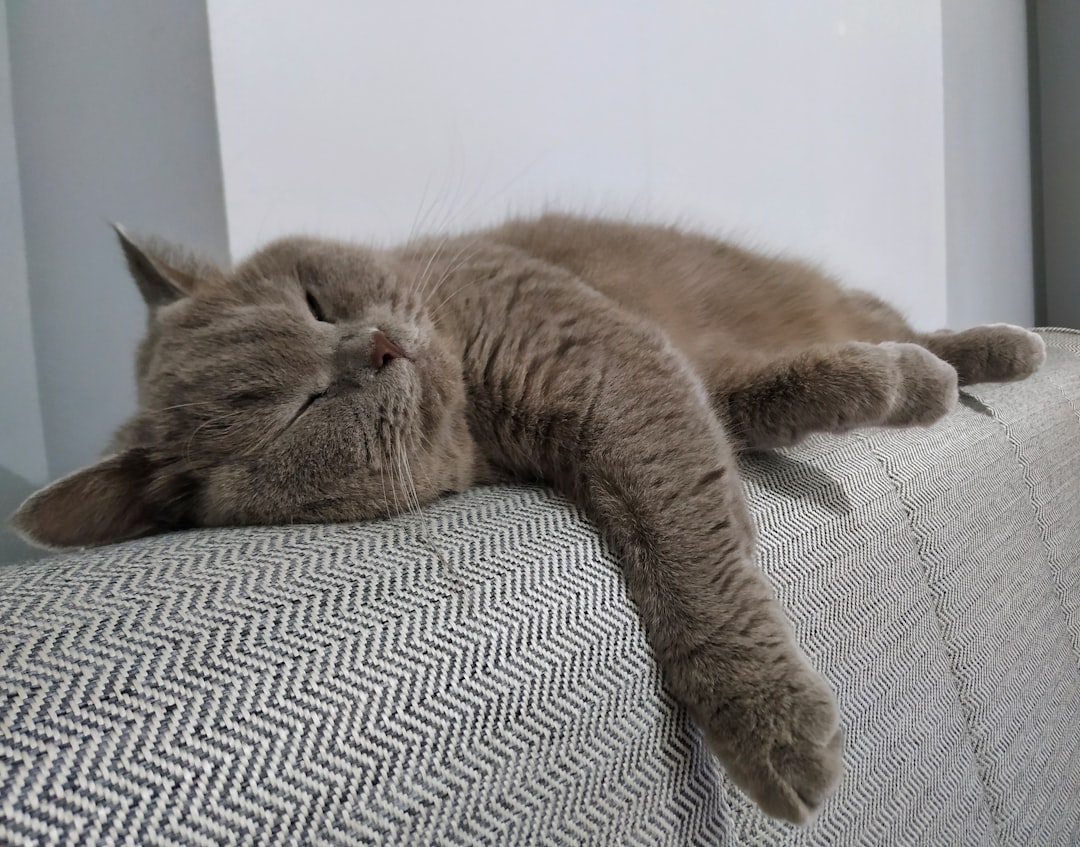 Sleep.