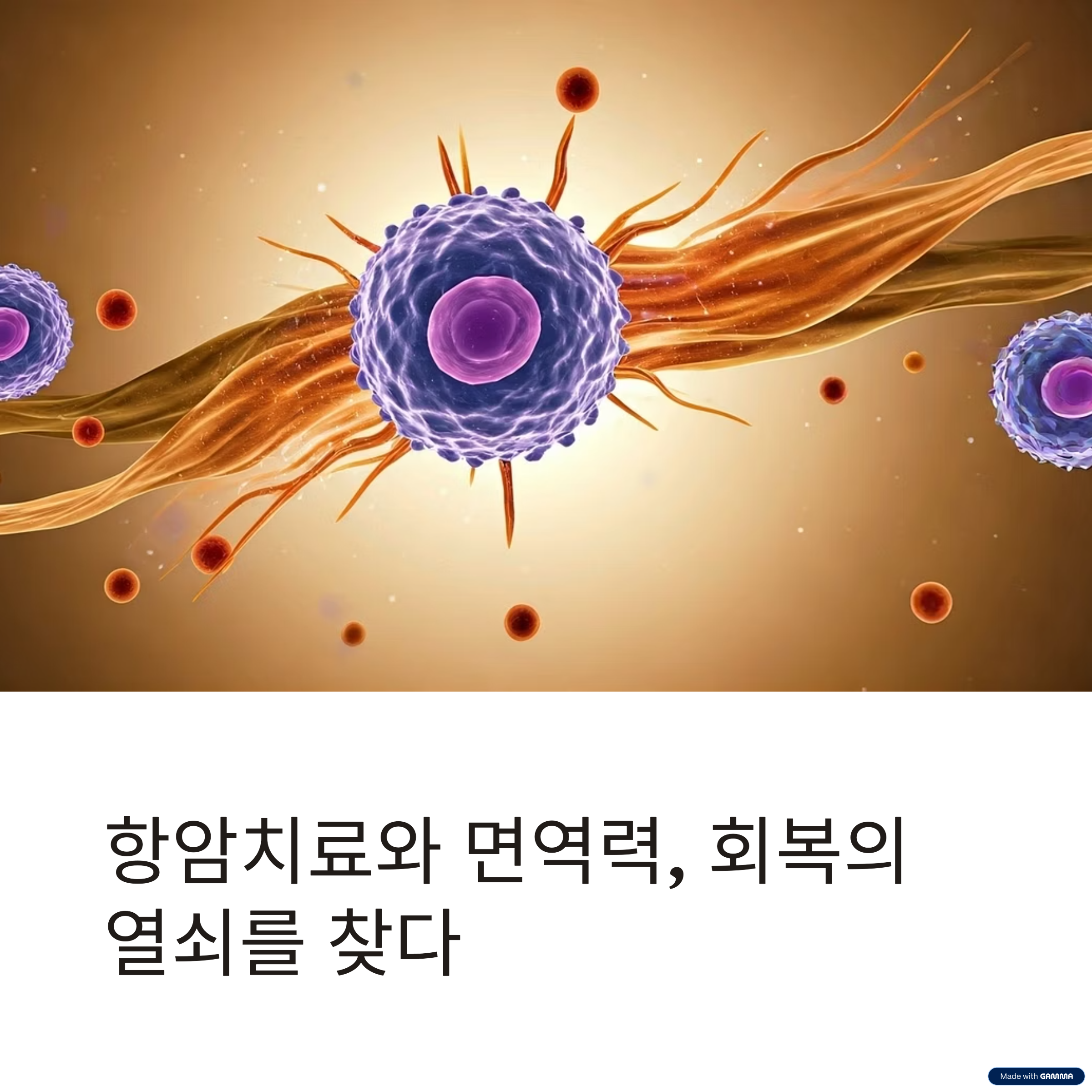 항암치료 중 면역력 강화를 위한 식품 10개 소개