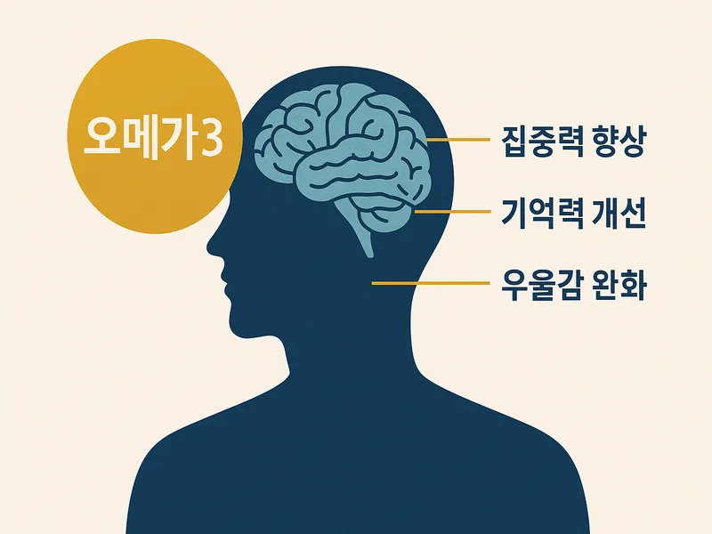 오메가3의 두뇌 기능 개선 효과 - 집중력과 기억력 향상
