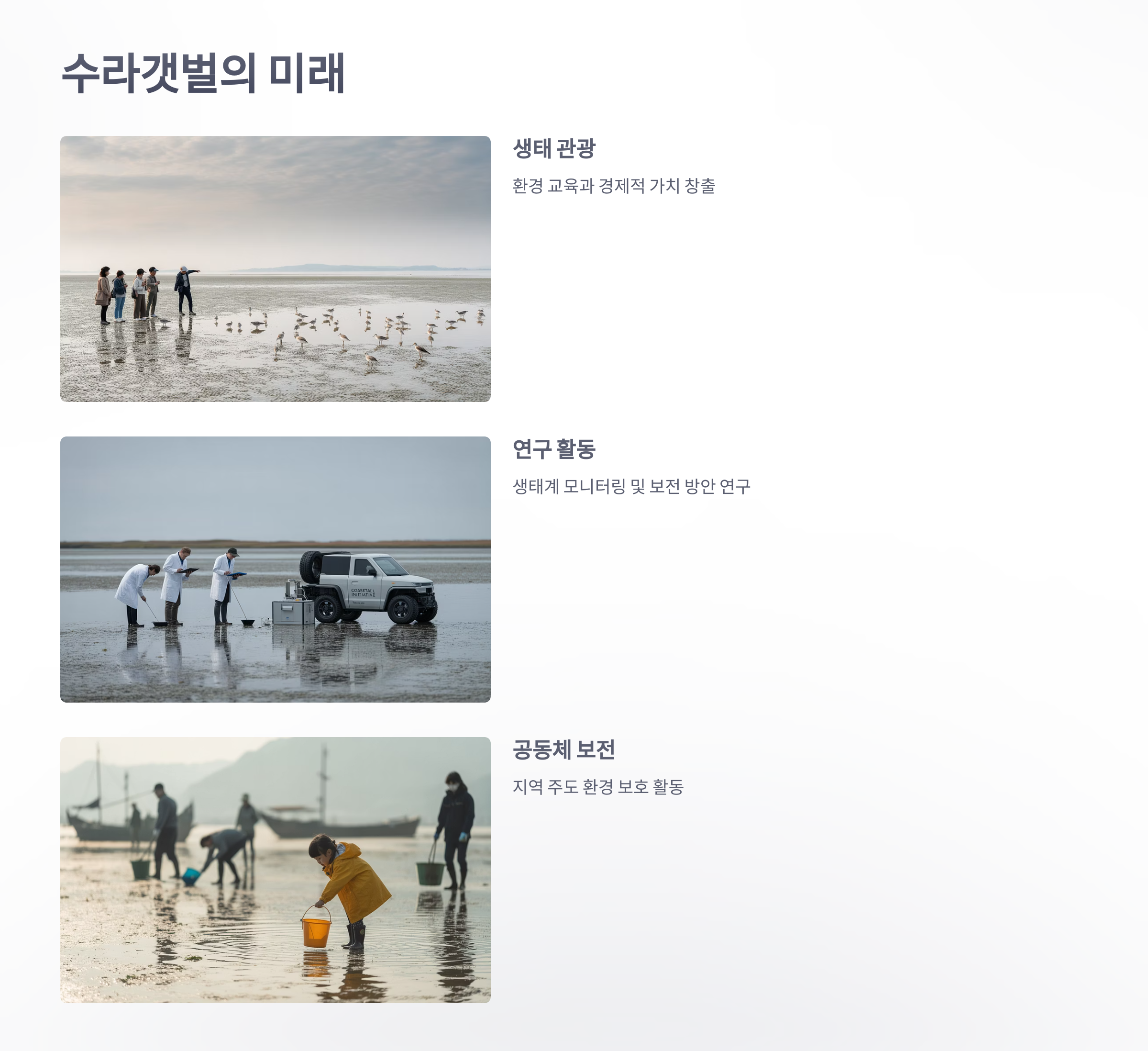 참조-새만금-수라갯벌-6