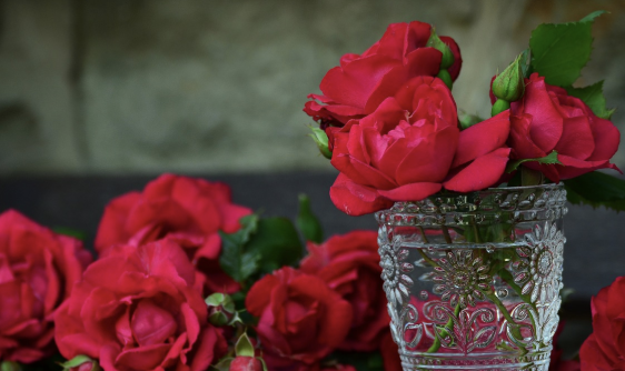 밤에 피는 꽃 등장인물 이하늬 배우