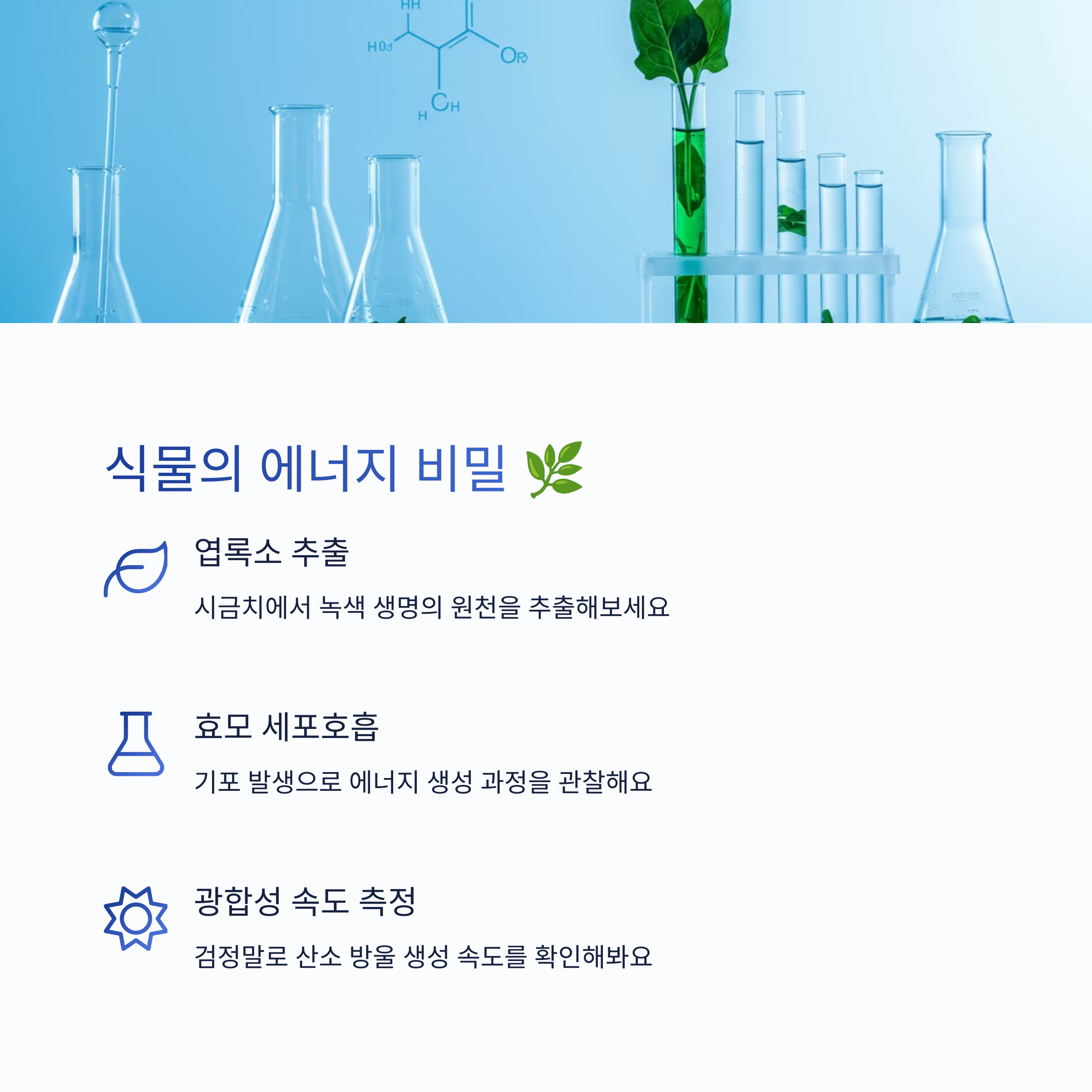 광합성과 세포 호흡 실험