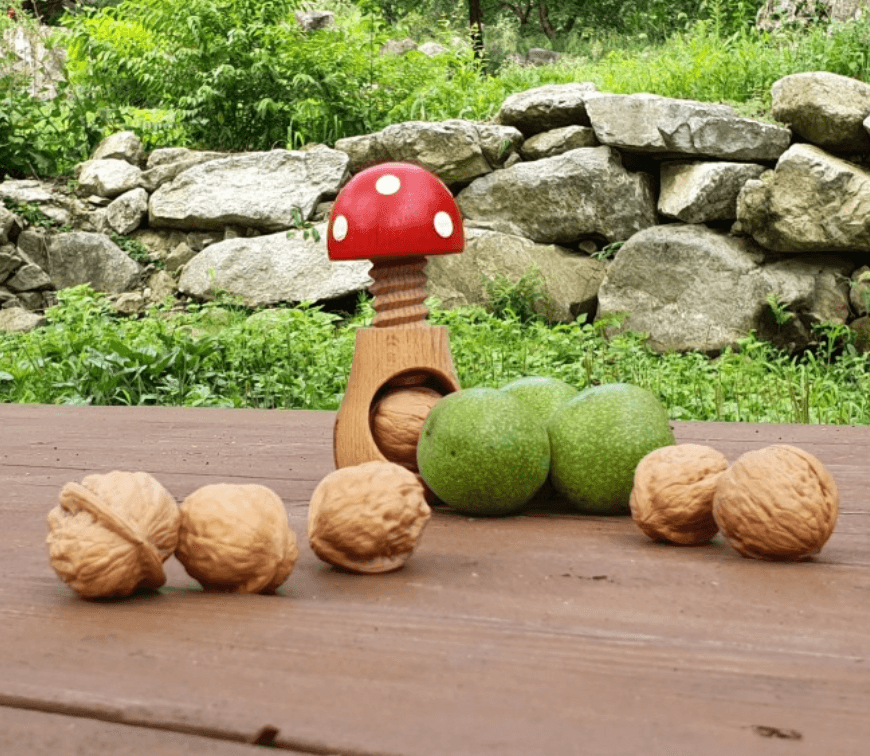 생방송오늘저녁 김천 호두농장