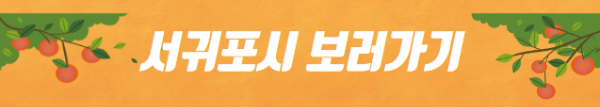 봄에 떠나기 좋은 국내 여행