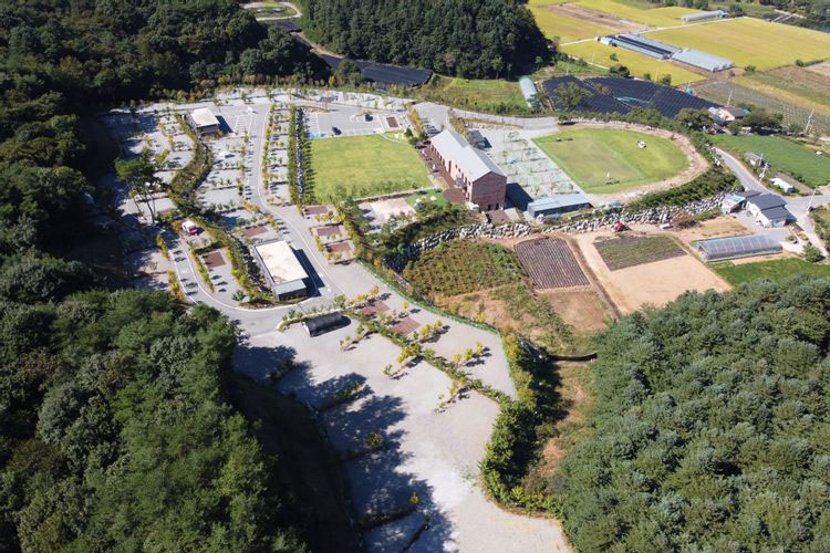 홍천군 세이지힐 오토캠핑장 소개