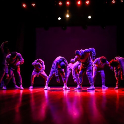 2024년 진해 군항제 및 벚꽃 개화시기