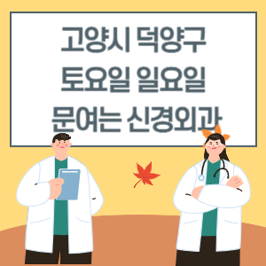 고양시 덕양구 토요일 일요일 신경외과 진료 문여는 병원 리스트