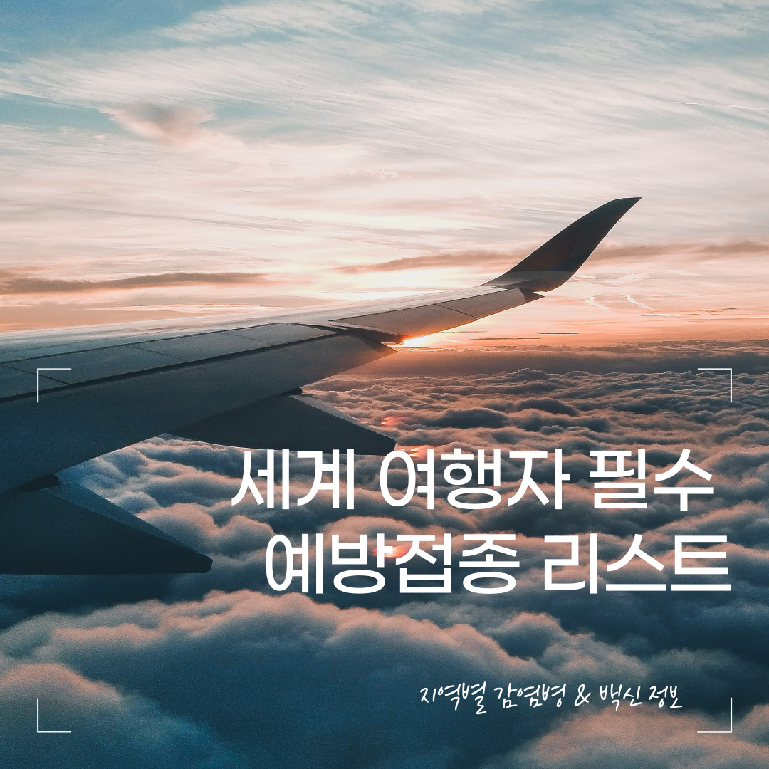 2025년 전 세계 여행자 필수 예방접종 리스트 – 지역별 감염병 & 백신 정보