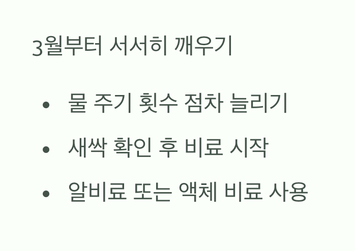 봄, 다시 깨어나는 공주님