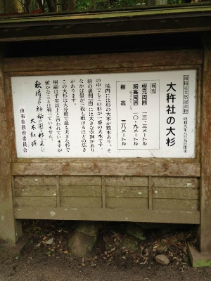 유후인 여행 추천 오고샤 신사