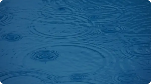 2025년 장마기간