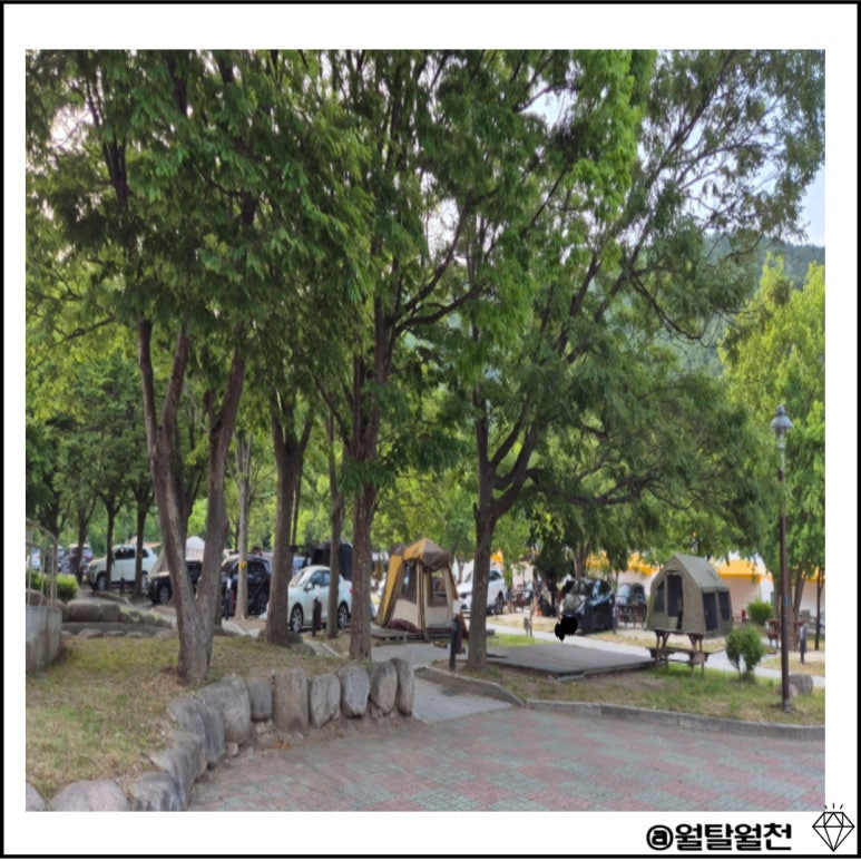 설악동야영장 A영지