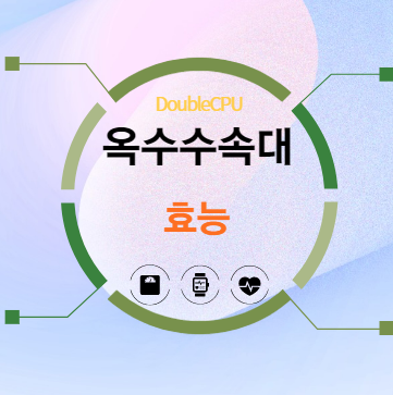 옥수수속대 효능 탐구