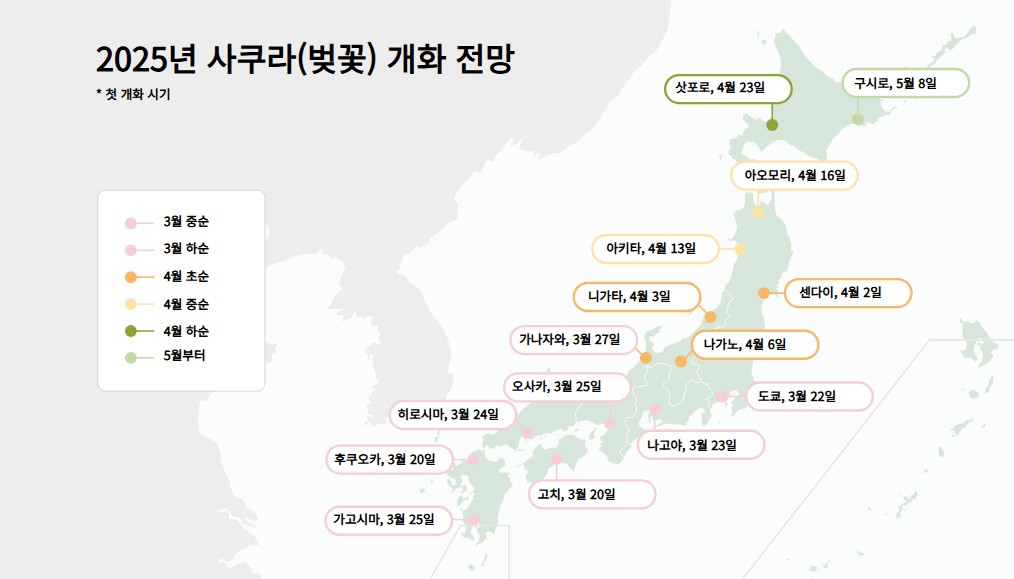2025년 오사카 벚꽃 개화 & 만개 예상 시기