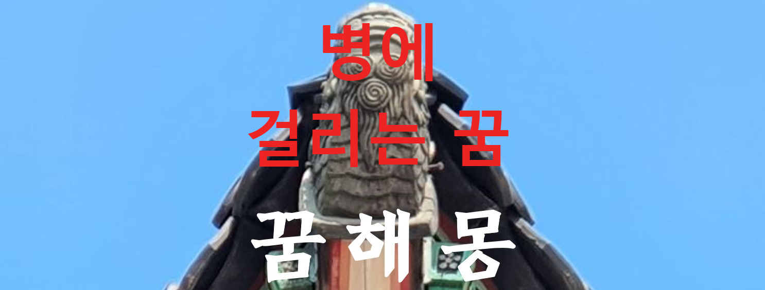 꿈해몽