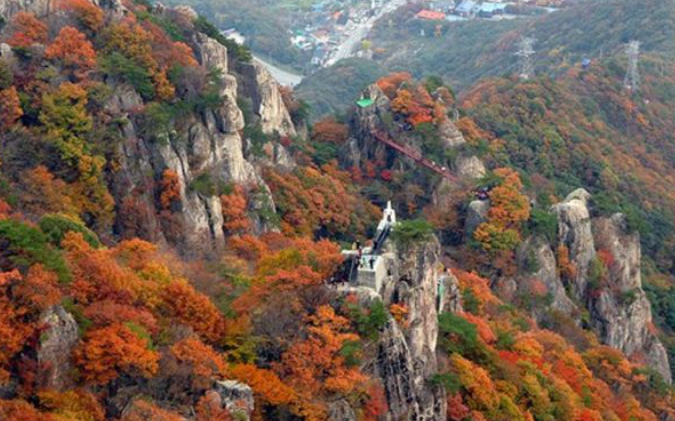 2025 대둔산 단풍 절정 & 등산 코스 총정리 ❘ 케이블카·주차·소요시간 완벽 안내