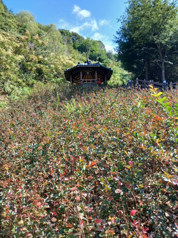 병목안 정자 보이다