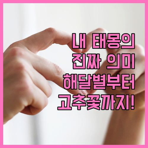 해 달 별부터 고추 꽃까지 태몽 상징..