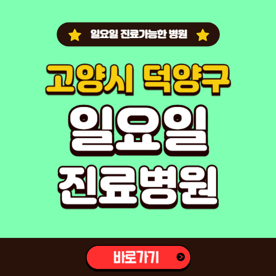 고양시 덕양구 일요일 진료 가능한 병원 ❘ 주말 문여는 곳 총정리 (소아과, 내과, 안과, 치과, 피부과, 정형외과, 산부인과)