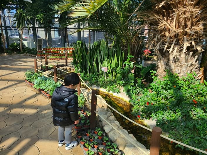 나비 온실 내 조경 식물