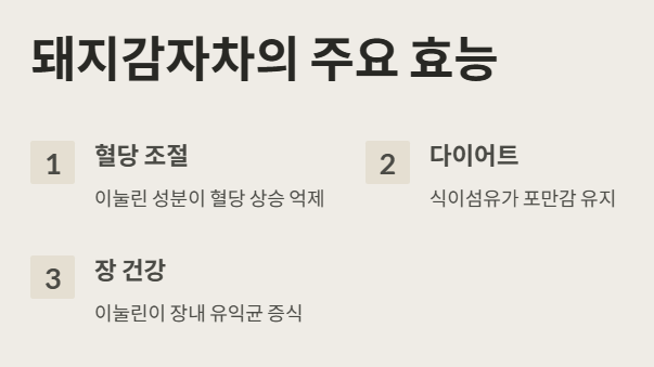 돼지감자차 효능