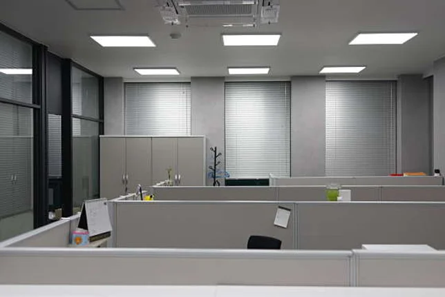 동일세무법인 강동지점