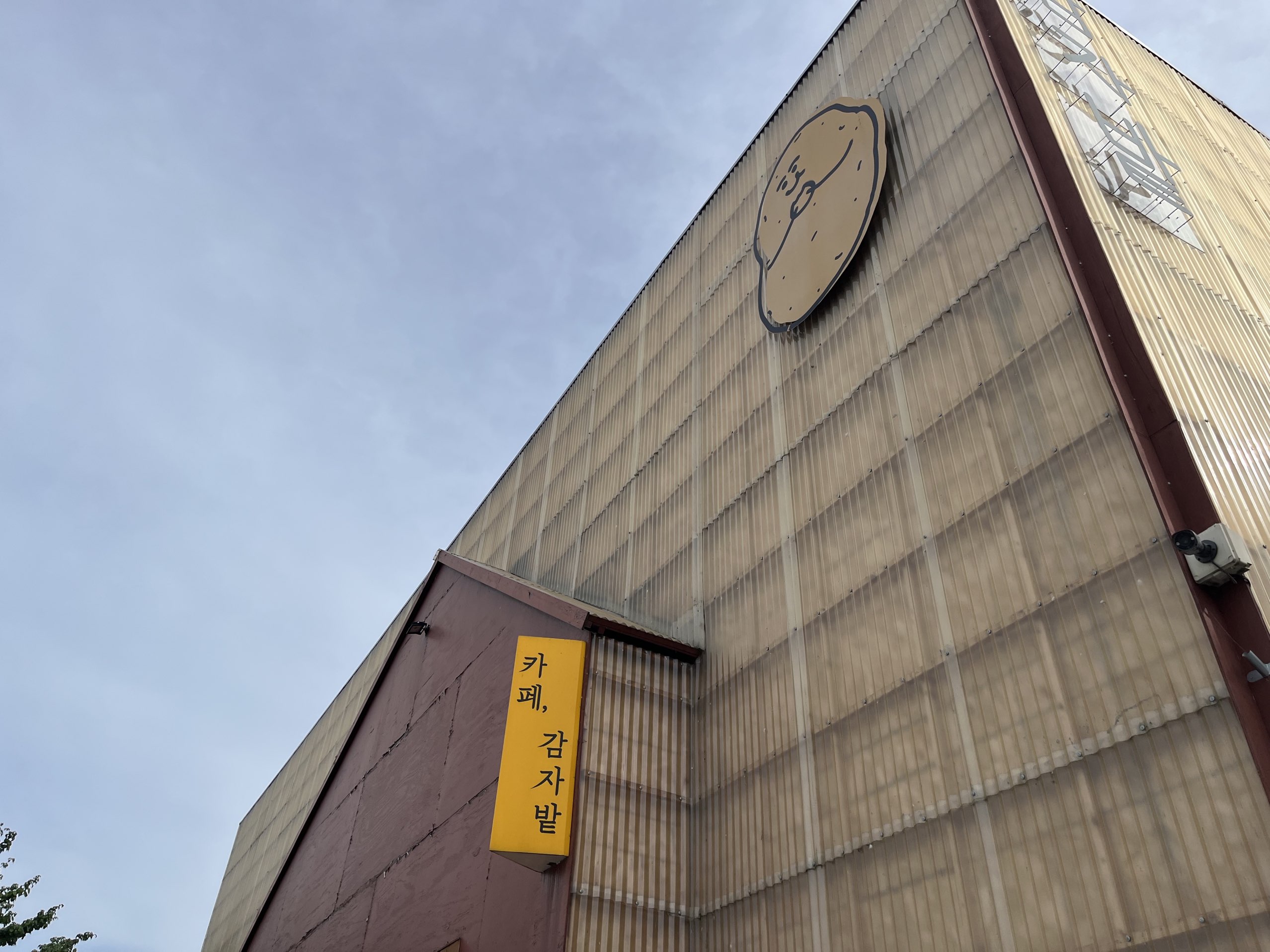 춘천 감자밭 카페