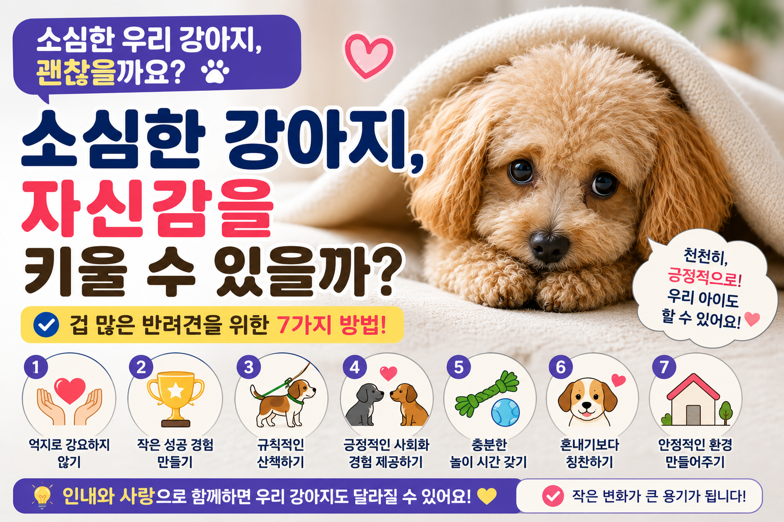 소심한 강아지, 자신감을 키울 수 있을까?|겁 많은 반려견을 위한 7가지 방법