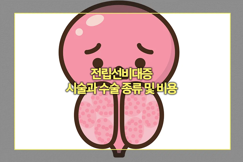 전립선비대증 시술과 수술종류 비용
