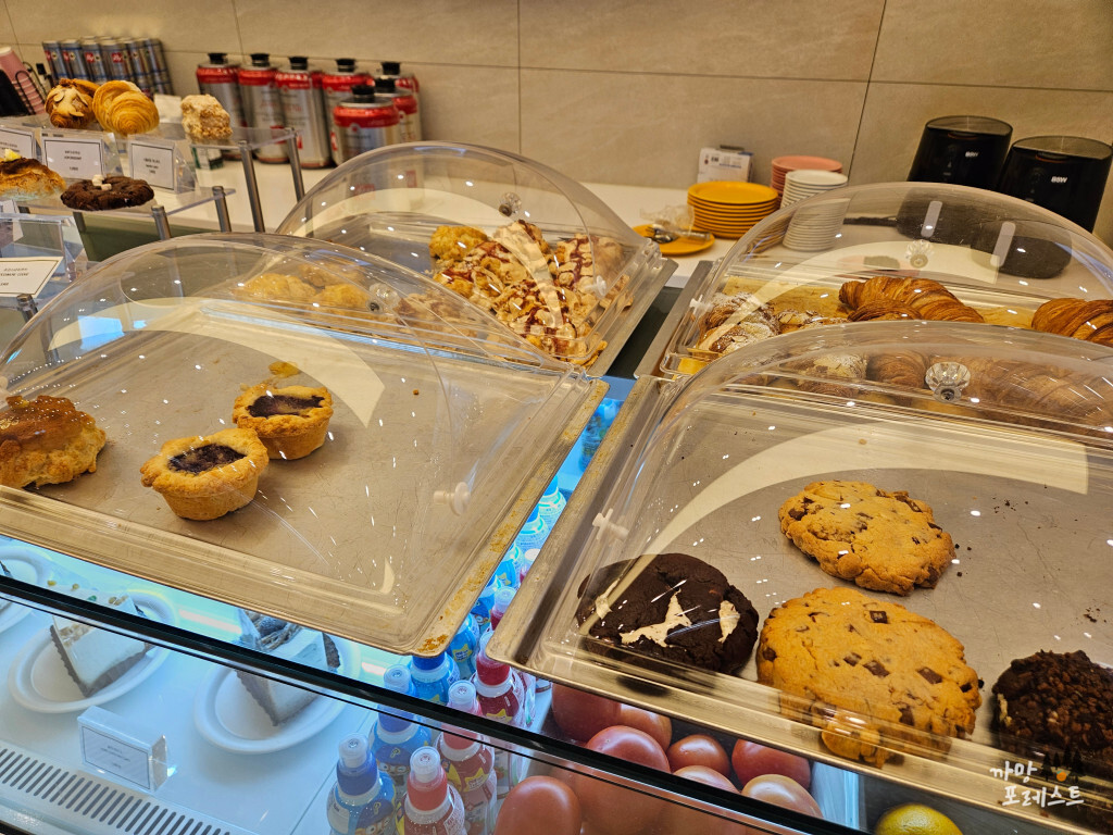 포커스온나우 케이크