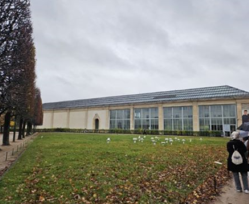 ํ๋ฆฌ ์ค๋์ฃผ๋ฆฌ ๋ฏธ์ ๊ด ์ฌ์ง