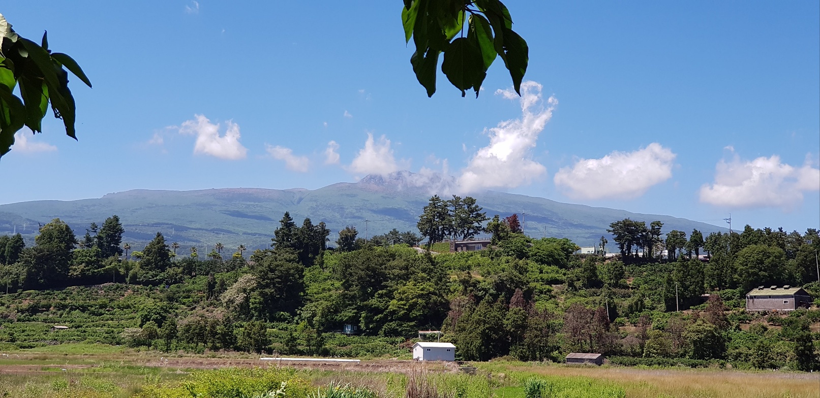 하논 분지에서 바라본 한라산