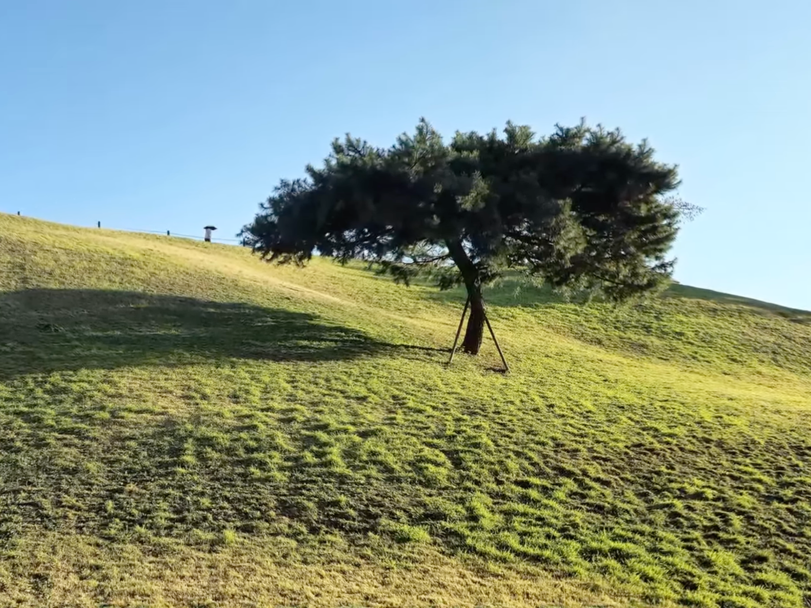올림픽공원 사진