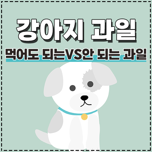 강아지 반려견 먹어도 되는 과일 먹으면 안되는 과일