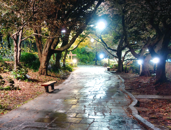 천지연폭포 야경 길