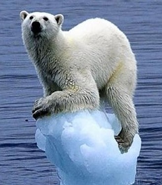 얼음위에 떠 있는 북극곰