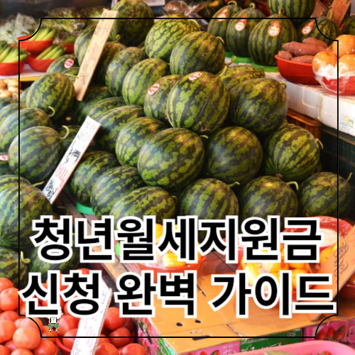 청년월세지원금 신청 완벽 가이드