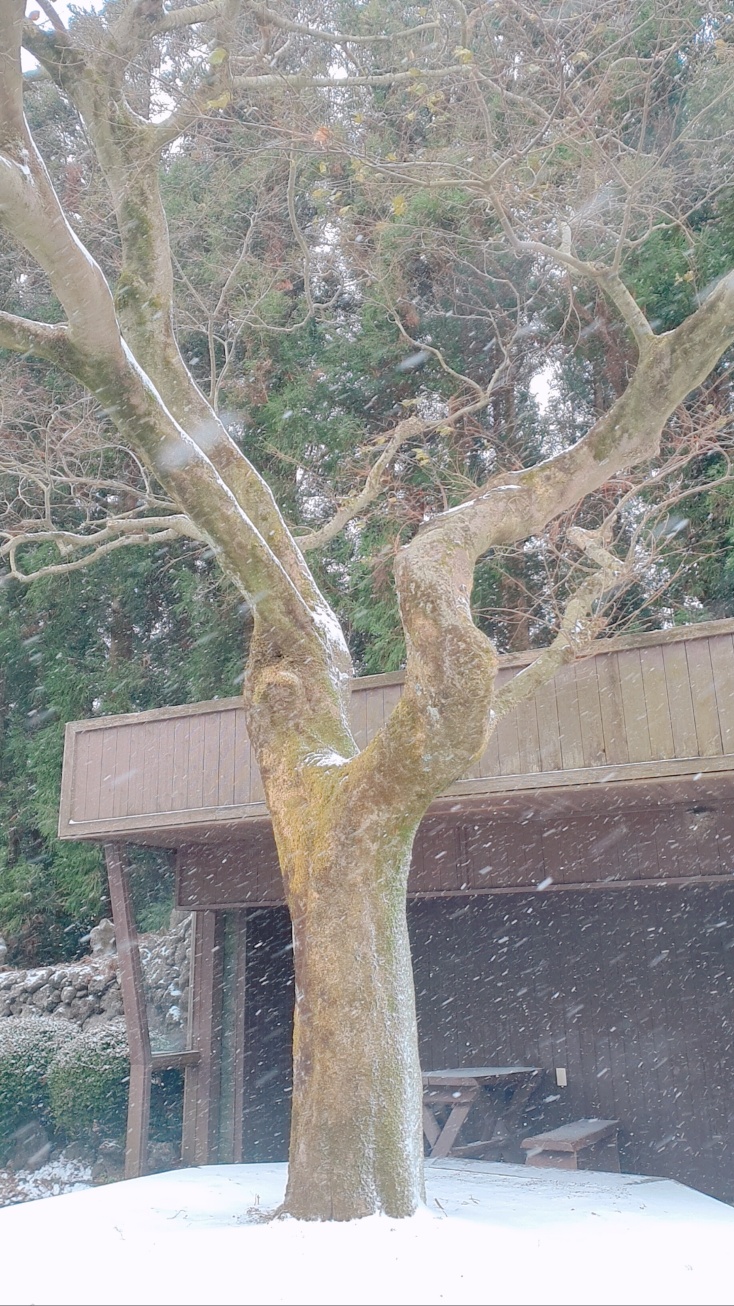 산굼부리