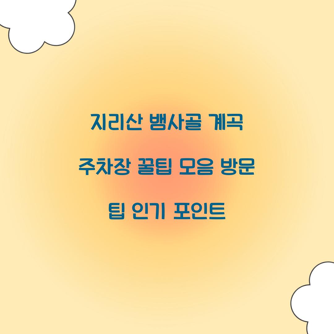 지리산 뱀사골 계곡 주차장