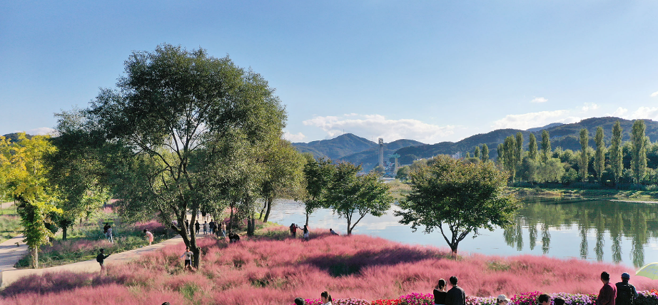 2024 가평 자라섬 꽃 페스타: 북한강 가을 꽃축제&amp;#44; 할인 혜택&amp;#44; 프로그램&amp;#44; 주차팁